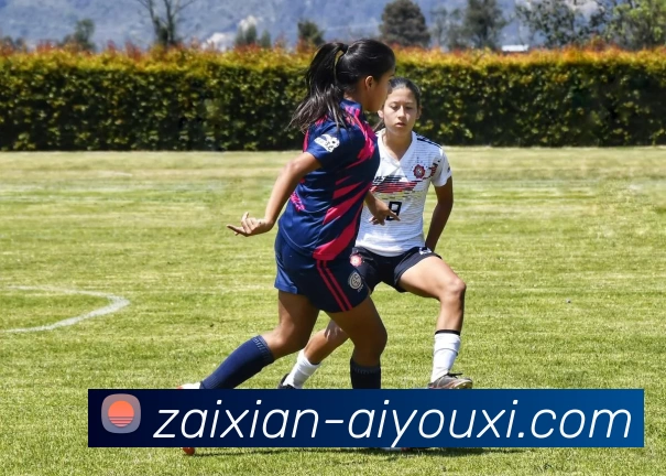 爱游戏APP 封面图